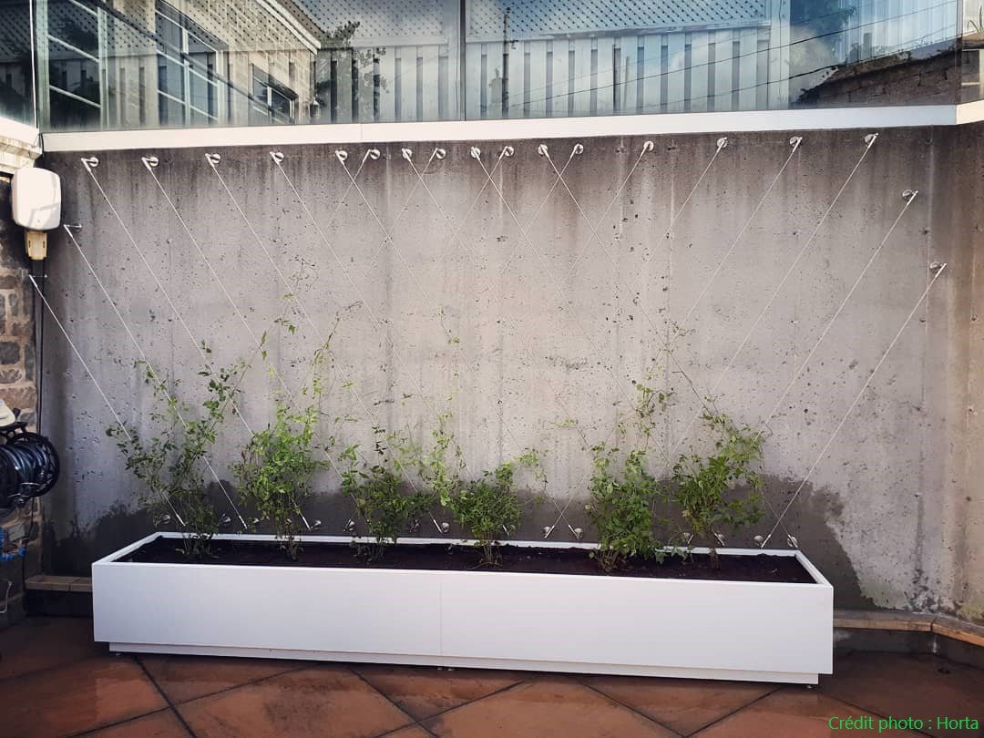 Spacer for trellis system - Gauthier De LaPlante