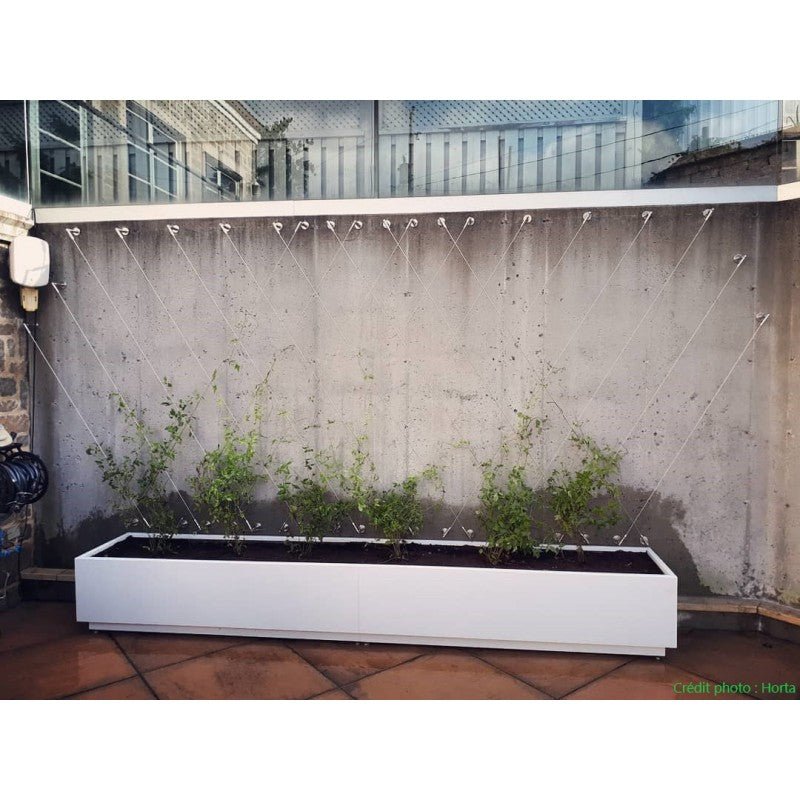 Trellis kit - Gauthier De LaPlante