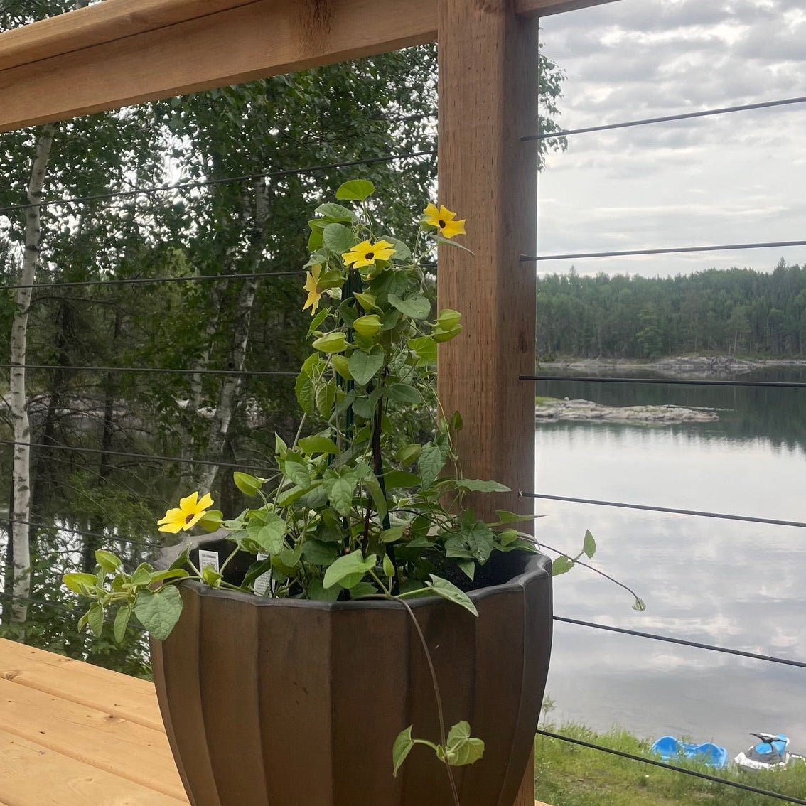 Marina Cable Railing System - I - Timber Post - Black - Gauthier De LaPlante